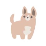 らむた